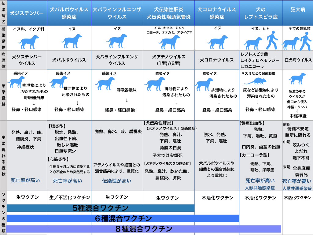 犬の混合ワクチンを選ぶときのポイント イデア動物病院 大阪府枚方市津田南町の動物病院