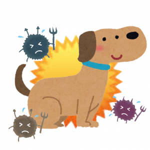 SNOW_20251030_044911_161