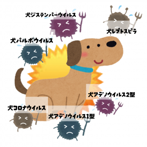 SNOW_20251030_051527_084