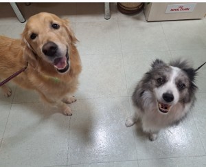 Screenshot_20251019_175005_Gallery