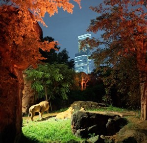 Screenshot_20251019_175044_Gallery