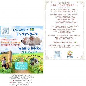 GridArt_20260227_174217778