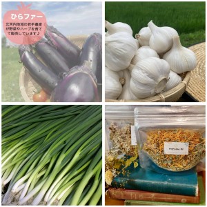 GridArt_20260227_174908875