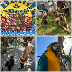 GridArt_20260227_175522459