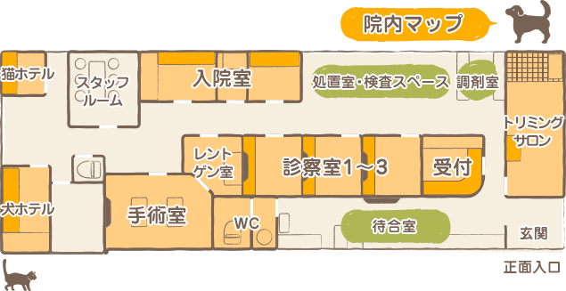 院内紹介 イデア動物病院 大阪府枚方市津田南町 院内紹介 イデア動物病院 大阪府枚方市津田南町