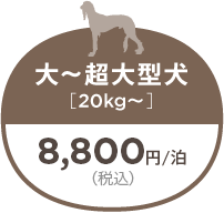 大～超大型犬 20kg〜 8,800円/泊（税込）